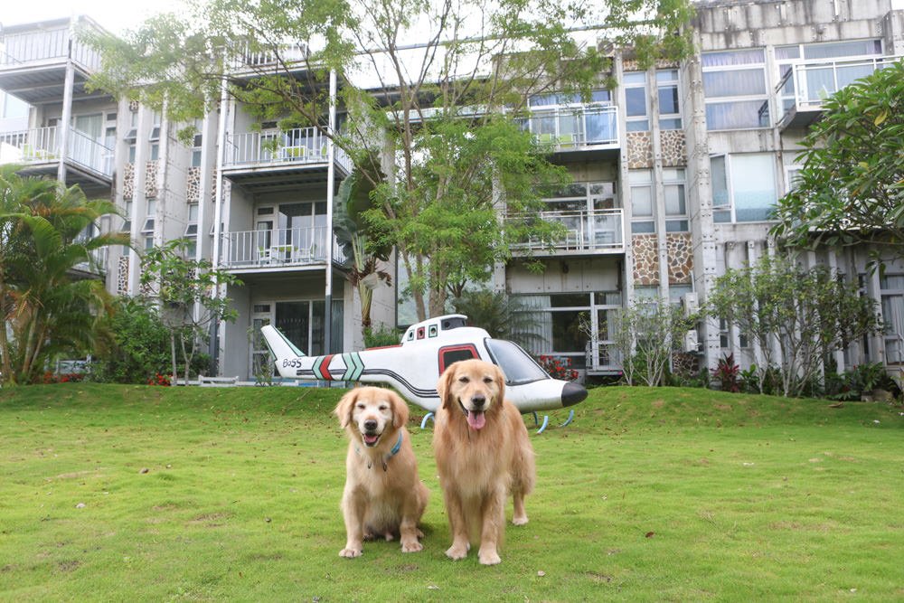 花蓮民宿推薦|太魯閣曼波海灘民宿、午玥咖啡餐館、花蓮寵物友善餐廳、鄰近曼波海灘、火鍋鹹豬肉烤雞簡餐料理 - 第1張圖 花蓮民宿推薦|太魯閣曼波海灘民宿、午玥咖啡餐館、花蓮寵物友善餐廳、鄰近曼波海灘、火鍋鹹豬肉烤雞簡餐料理