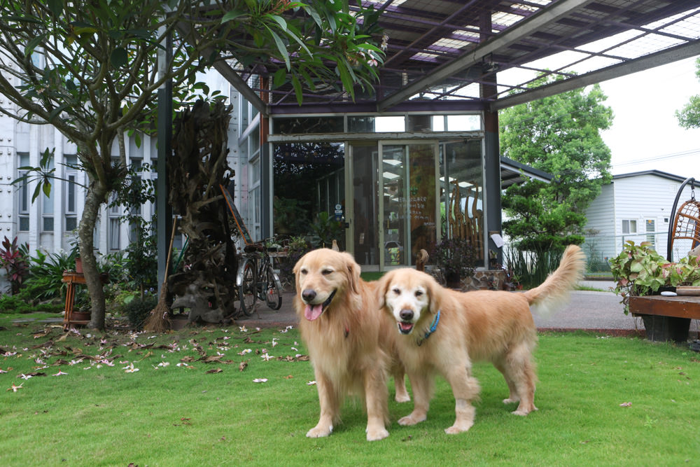 花蓮民宿推薦|太魯閣曼波海灘民宿、午玥咖啡餐館、花蓮寵物友善餐廳、鄰近曼波海灘、火鍋鹹豬肉烤雞簡餐料理 - 第4張圖 花蓮民宿推薦|太魯閣曼波海灘民宿、午玥咖啡餐館、花蓮寵物友善餐廳、鄰近曼波海灘、火鍋鹹豬肉烤雞簡餐料理