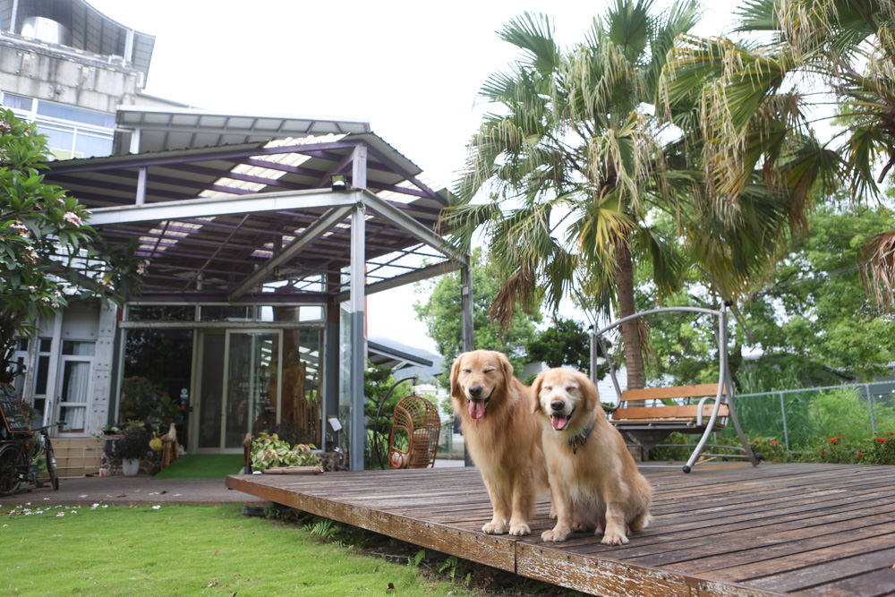 花蓮民宿推薦|太魯閣曼波海灘民宿、午玥咖啡餐館、花蓮寵物友善餐廳、鄰近曼波海灘、火鍋鹹豬肉烤雞簡餐料理 - 第5張圖 花蓮民宿推薦|太魯閣曼波海灘民宿、午玥咖啡餐館、花蓮寵物友善餐廳、鄰近曼波海灘、火鍋鹹豬肉烤雞簡餐料理