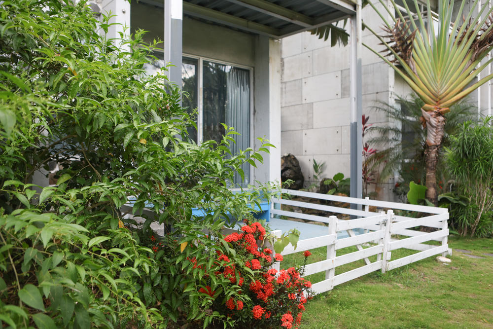 花蓮民宿推薦|太魯閣曼波海灘民宿、午玥咖啡餐館、花蓮寵物友善餐廳、鄰近曼波海灘、火鍋鹹豬肉烤雞簡餐料理 - 第22張圖 花蓮民宿推薦|太魯閣曼波海灘民宿、午玥咖啡餐館、花蓮寵物友善餐廳、鄰近曼波海灘、火鍋鹹豬肉烤雞簡餐料理