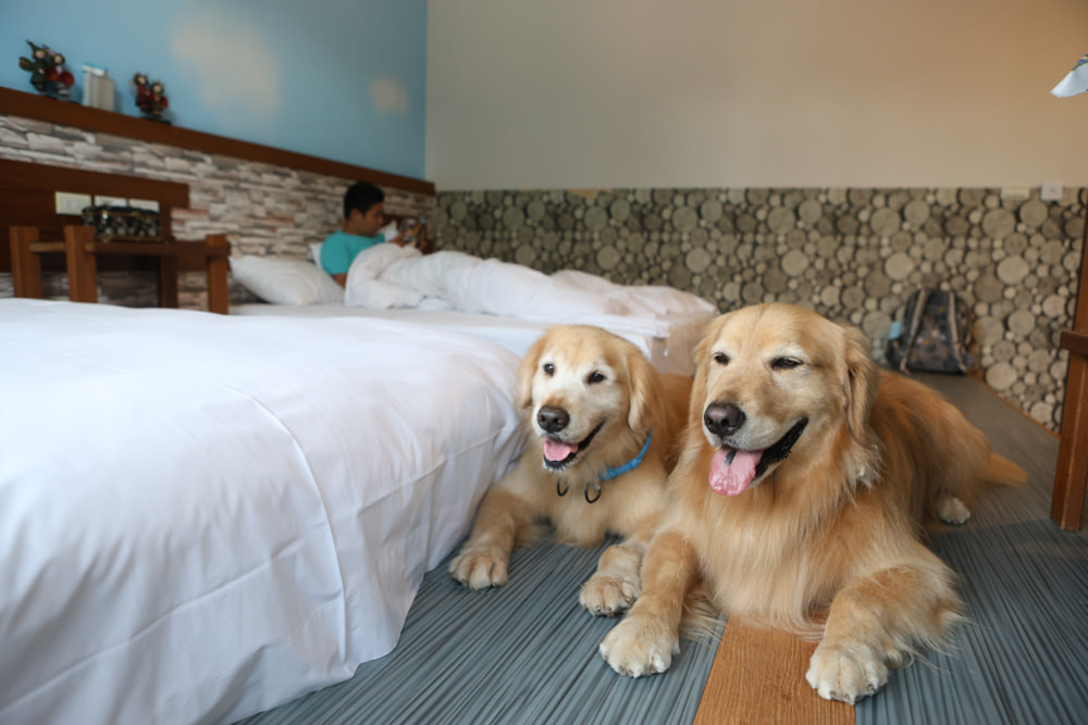 花蓮民宿推薦|太魯閣曼波海灘民宿、午玥咖啡餐館、花蓮寵物友善餐廳、鄰近曼波海灘、火鍋鹹豬肉烤雞簡餐料理 - 第19張圖 花蓮民宿推薦|太魯閣曼波海灘民宿、午玥咖啡餐館、花蓮寵物友善餐廳、鄰近曼波海灘、火鍋鹹豬肉烤雞簡餐料理