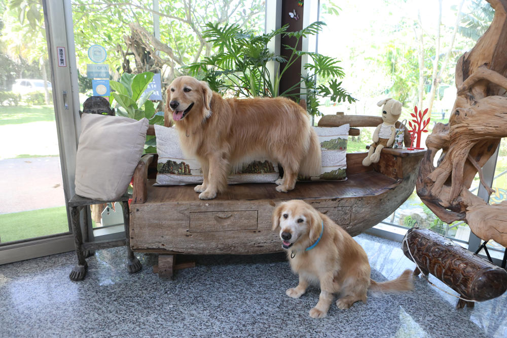 花蓮民宿推薦｜太魯閣曼波海灘民宿、午玥咖啡餐館、花蓮寵物友善餐廳、鄰近曼波海灘、火鍋鹹豬肉烤雞簡餐料理