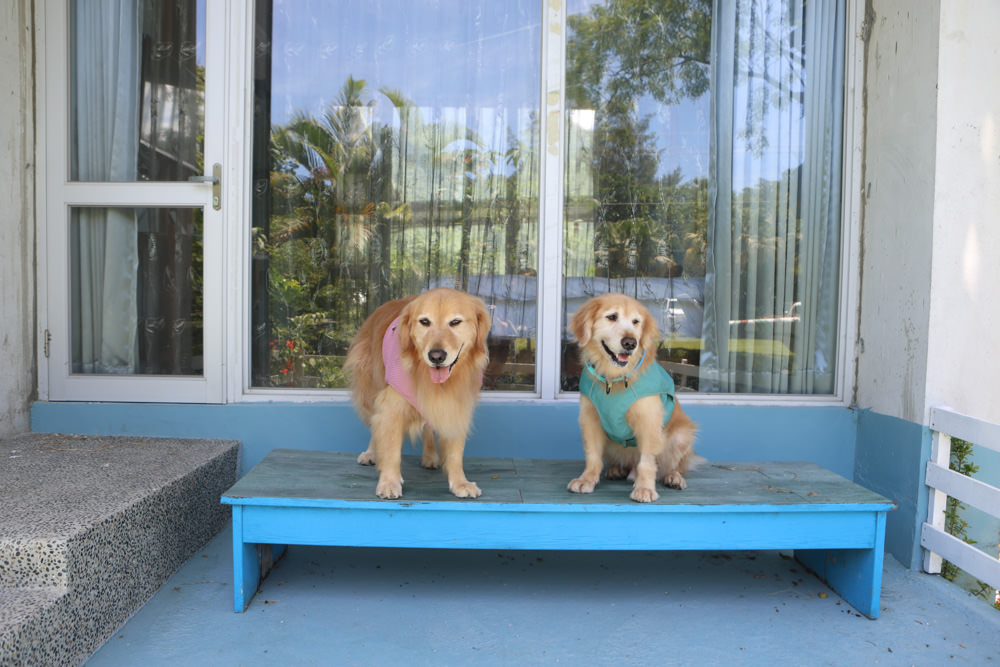花蓮民宿推薦｜太魯閣曼波海灘民宿、午玥咖啡餐館、花蓮寵物友善餐廳、鄰近曼波海灘、火鍋鹹豬肉烤雞簡餐料理