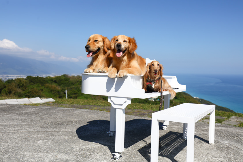 花蓮新景點|花蓮最美秘境景觀玻璃屋。360度山嵐美景海灣海景,還有絕美夜景(寵物友善) - 第6張圖 花蓮新景點|花蓮最美秘境景觀玻璃屋。360度山嵐美景海灣海景,還有絕美夜景(寵物友善)