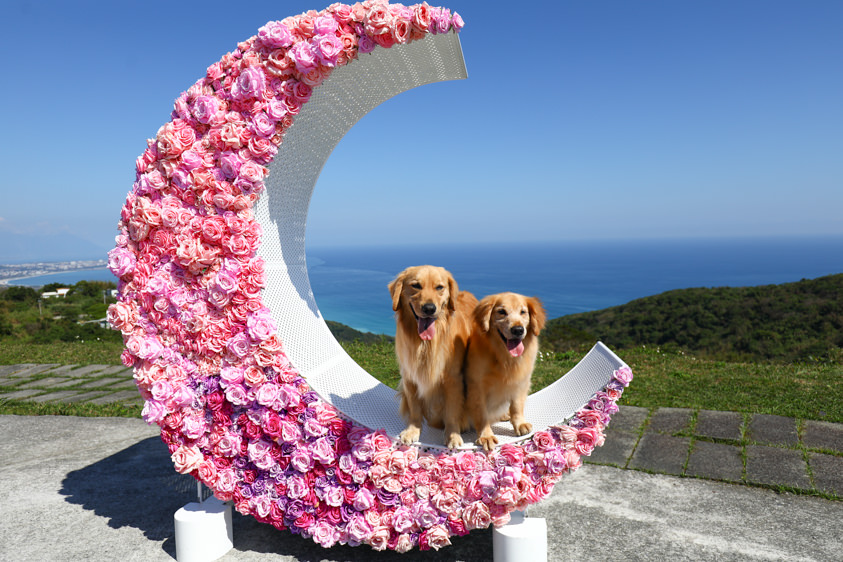 花蓮新景點|花蓮最美秘境景觀玻璃屋。360度山嵐美景海灣海景,還有絕美夜景(寵物友善) - 第1張圖 花蓮新景點|花蓮最美秘境景觀玻璃屋。360度山嵐美景海灣海景,還有絕美夜景(寵物友善)