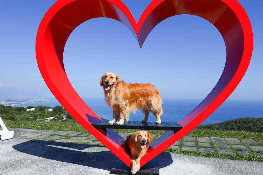 花蓮新景點|花蓮最美秘境景觀玻璃屋。360度山嵐美景海灣海景,還有絕美夜景(寵物友善) - 第10張圖 花蓮新景點|花蓮最美秘境景觀玻璃屋。360度山嵐美景海灣海景,還有絕美夜景(寵物友善)