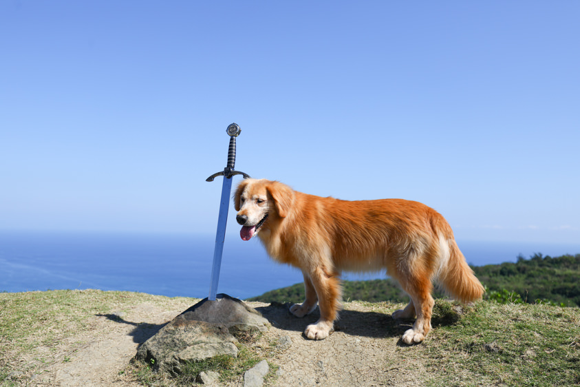 花蓮新景點|花蓮最美秘境景觀玻璃屋。360度山嵐美景海灣海景,還有絕美夜景(寵物友善) - 第4張圖 花蓮新景點|花蓮最美秘境景觀玻璃屋。360度山嵐美景海灣海景,還有絕美夜景(寵物友善)