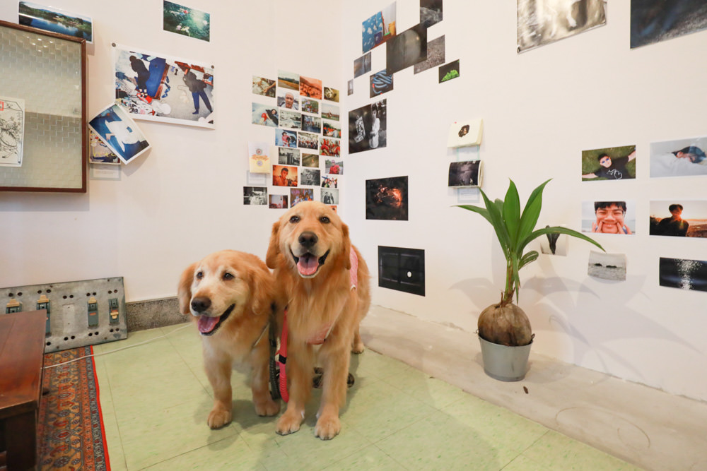 花蓮美食｜木容MURON。50年代台式老宅中的茶館甜點店、寵物友善餐廳、老宅咖啡廳、花蓮下午茶、