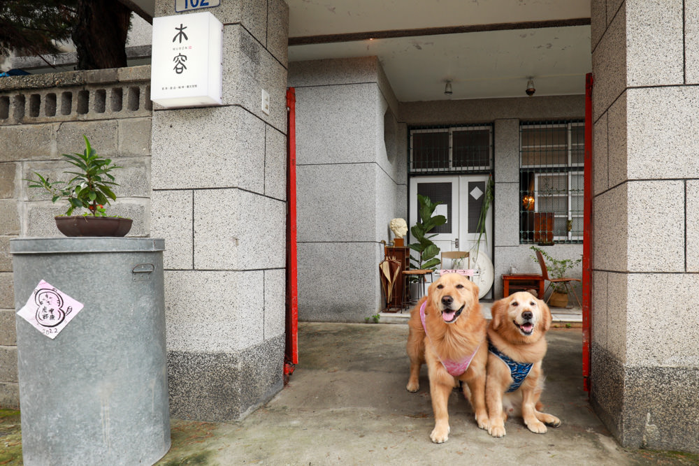 花蓮美食｜木容MURON。50年代台式老宅中的茶館甜點店、寵物友善餐廳、老宅咖啡廳、花蓮下午茶、
