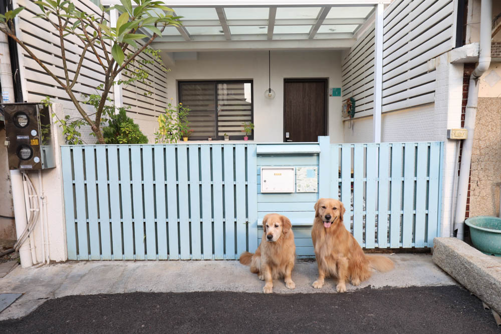 台南包棟民宿|木本樹台南民宿。寵物友善民宿、一天只接一組客人、雙人房就可以獨享包棟! - 第36張圖 台南包棟民宿|木本樹台南民宿。寵物友善民宿、一天只接一組客人、雙人房就可以獨享包棟!