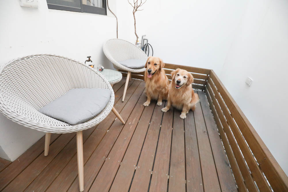 台南包棟民宿|木本樹台南民宿。寵物友善民宿、一天只接一組客人、雙人房就可以獨享包棟! - 第27張圖 台南包棟民宿|木本樹台南民宿。寵物友善民宿、一天只接一組客人、雙人房就可以獨享包棟!