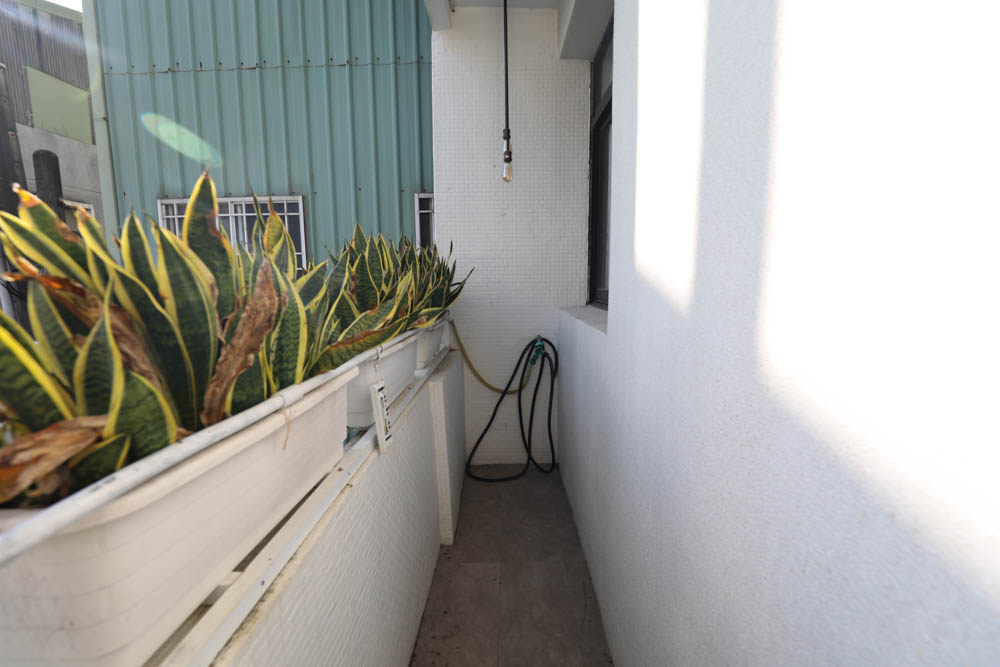 台南包棟民宿|木本樹台南民宿。寵物友善民宿、一天只接一組客人、雙人房就可以獨享包棟! - 第33張圖 台南包棟民宿|木本樹台南民宿。寵物友善民宿、一天只接一組客人、雙人房就可以獨享包棟!