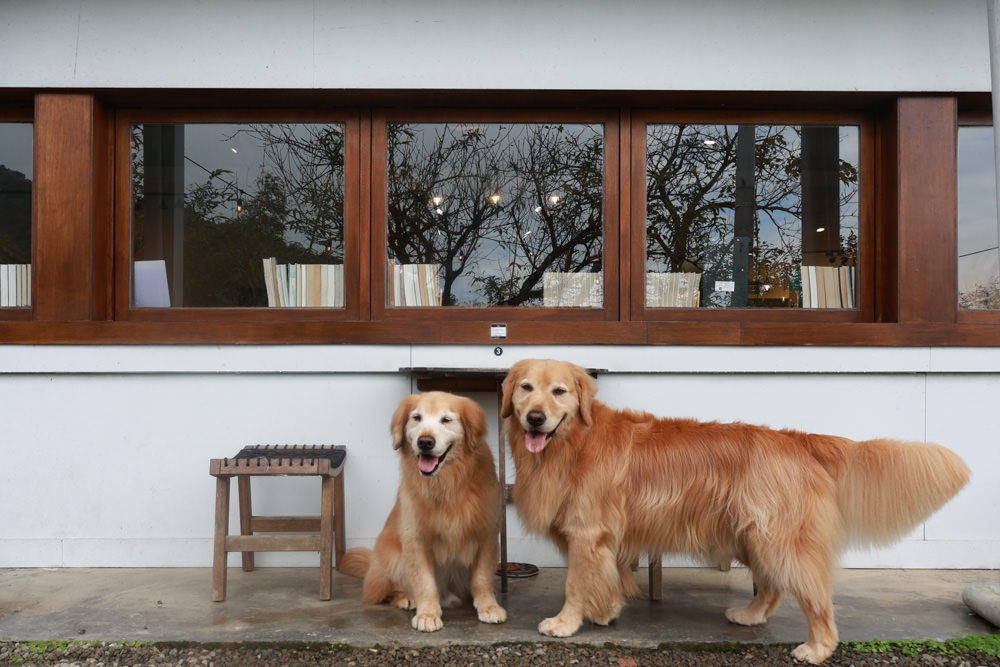 台北文山木柵｜生活在他方夜貓店。寵物友善餐廳、隱藏在貓空山上的秘境咖啡廳、營業至凌晨兩點！