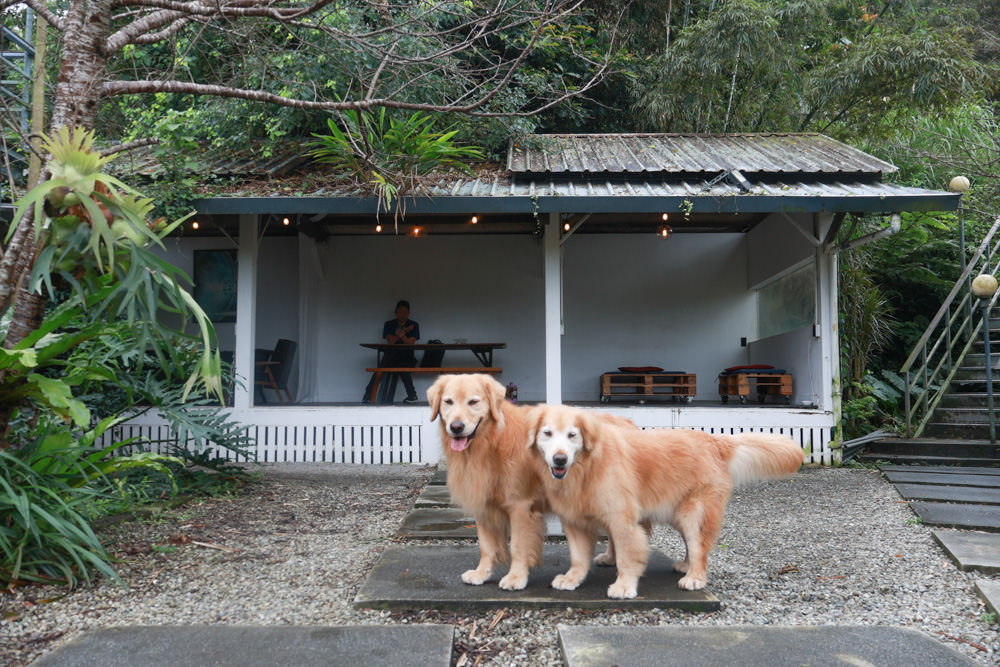 台北文山木柵｜生活在他方夜貓店。寵物友善餐廳、隱藏在貓空山上的秘境咖啡廳、營業至凌晨兩點！