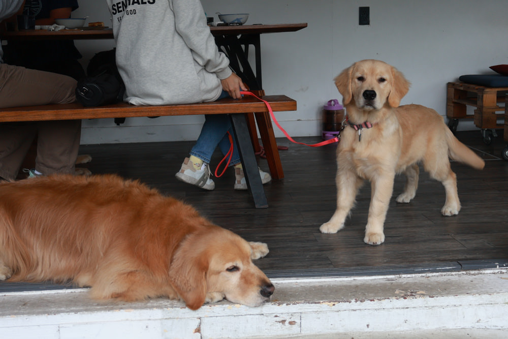 台北文山木柵｜生活在他方夜貓店。寵物友善餐廳、隱藏在貓空山上的秘境咖啡廳、營業至凌晨兩點！