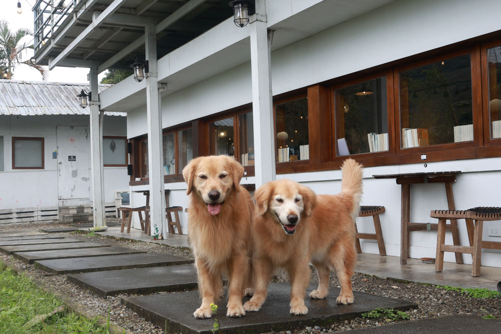 台北文山木柵｜生活在他方夜貓店。寵物友善餐廳、隱藏在貓空山上的秘境咖啡廳、營業至凌晨兩點！