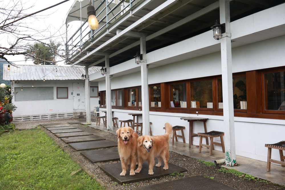 台北文山木柵｜生活在他方夜貓店。寵物友善餐廳、隱藏在貓空山上的秘境咖啡廳、營業至凌晨兩點！