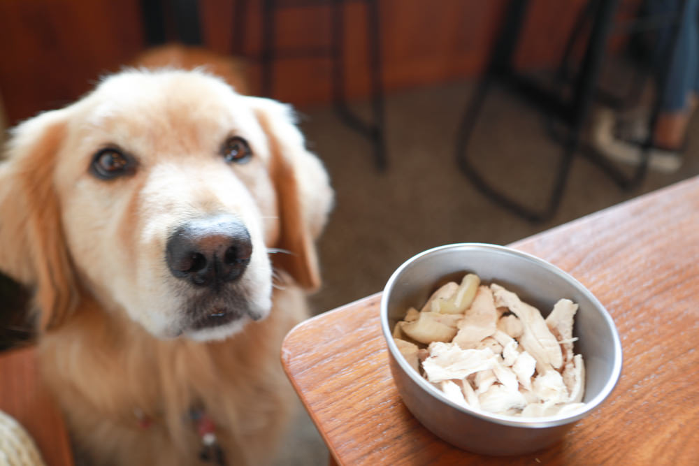宜蘭美食｜木蘭春生。祖傳四代的傳統小吃美食、甜點飲料、瓜仔肉飯、復古文青風寵物友善餐廳