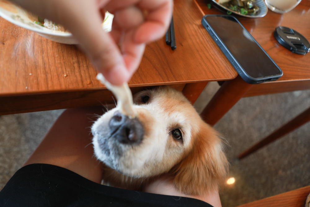 宜蘭美食｜木蘭春生。祖傳四代的傳統小吃美食、甜點飲料、瓜仔肉飯、復古文青風寵物友善餐廳
