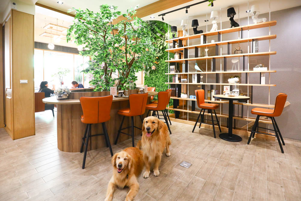 高雄美食｜Mao Mao Lee 李毛毛寵物餐廳。專為毛小孩設計的大份量寵物餐、有包廂、近高雄展覽館