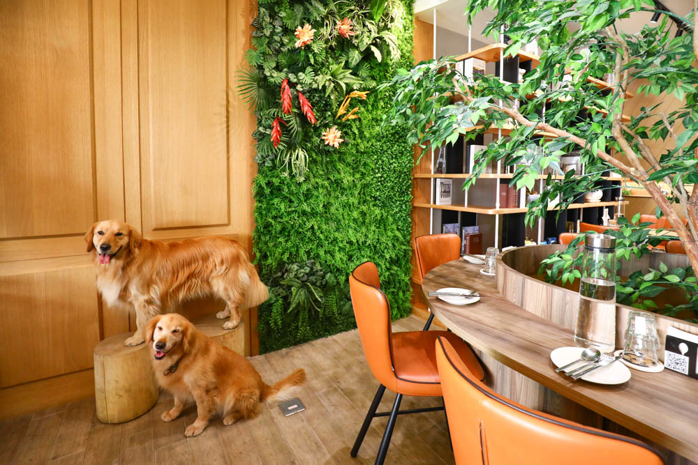 高雄美食｜Mao Mao Lee 李毛毛寵物餐廳。專為毛小孩設計的大份量寵物餐、有包廂、近高雄展覽館