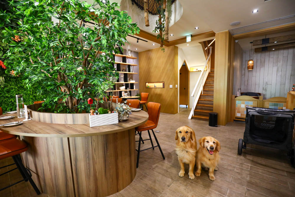 高雄美食｜Mao Mao Lee 李毛毛寵物餐廳。專為毛小孩設計的大份量寵物餐、有包廂、近高雄展覽館