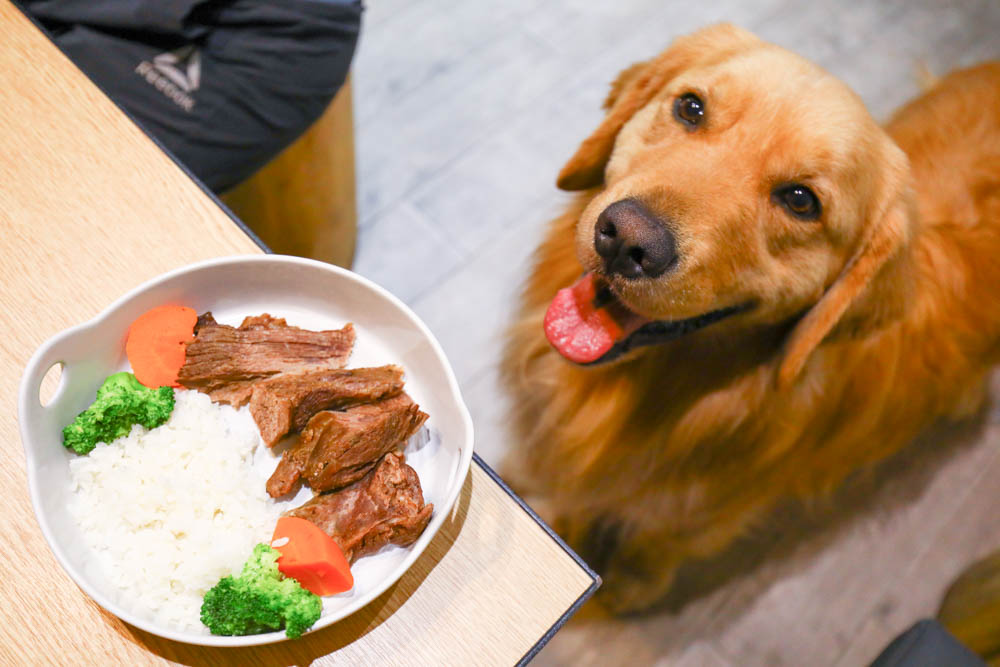 高雄美食｜Mao Mao Lee 李毛毛寵物餐廳。專為毛小孩設計的大份量寵物餐、有包廂、近高雄展覽館