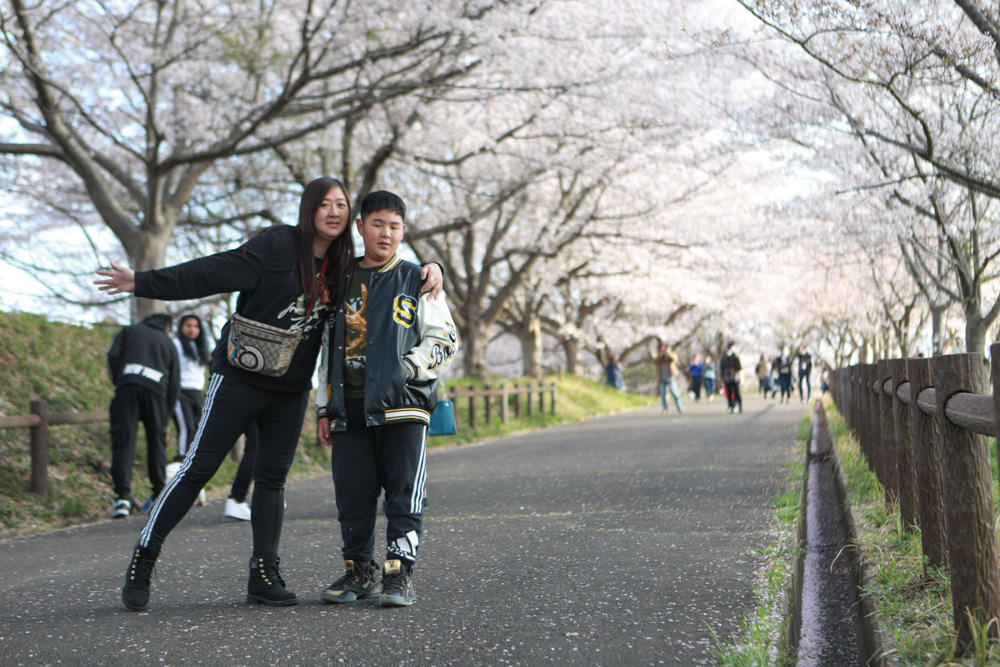 日本關東千葉景點｜成田櫻山公園。成田機場旁欣賞絕美綻放櫻花，搭配飛機起降！千葉賞櫻景點