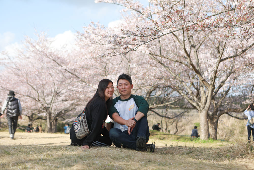 日本關東千葉景點｜成田櫻山公園。成田機場旁欣賞絕美綻放櫻花，搭配飛機起降！千葉賞櫻景點
