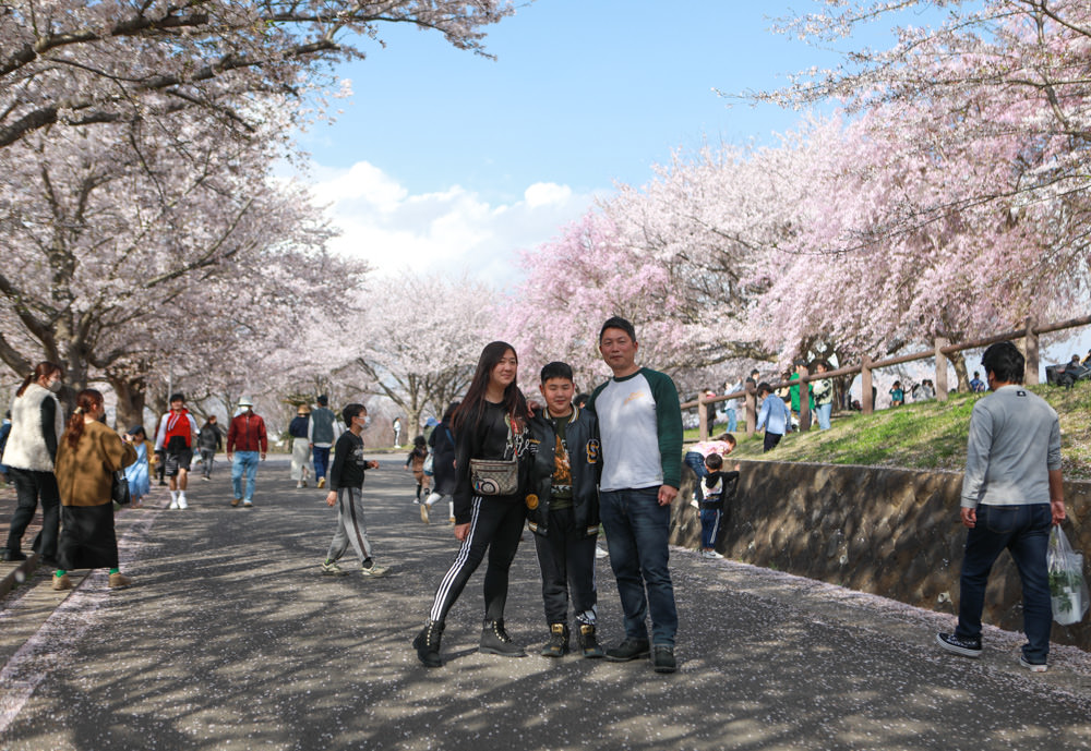 日本關東千葉景點｜成田櫻山公園。成田機場旁欣賞絕美綻放櫻花，搭配飛機起降！千葉賞櫻景點