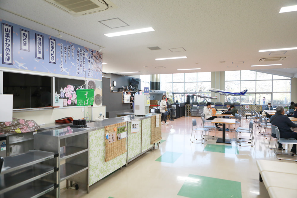 日本關東千葉景點｜成田櫻山公園。成田機場旁欣賞絕美綻放櫻花，搭配飛機起降！千葉賞櫻景點