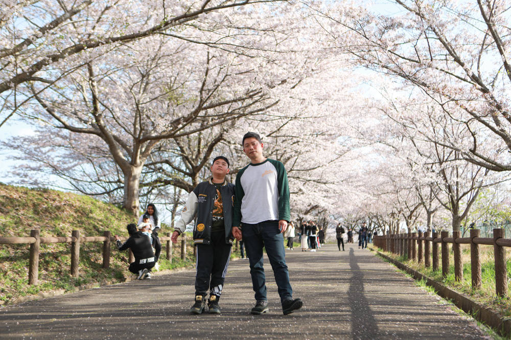 日本關東千葉景點｜成田櫻山公園。成田機場旁欣賞絕美綻放櫻花，搭配飛機起降！千葉賞櫻景點