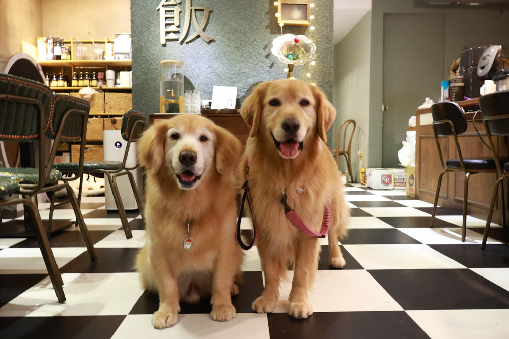 台北大安區美食｜TAKEOUT CURRY SHOP 咖哩專門店。寵物友善餐廳、日式香料黑咖哩、貓咪布丁