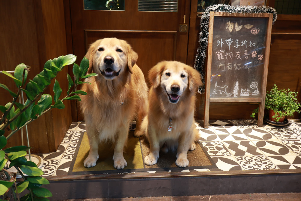 台北大安區美食｜TAKEOUT CURRY SHOP 咖哩專門店。寵物友善餐廳、日式香料黑咖哩、貓咪布丁