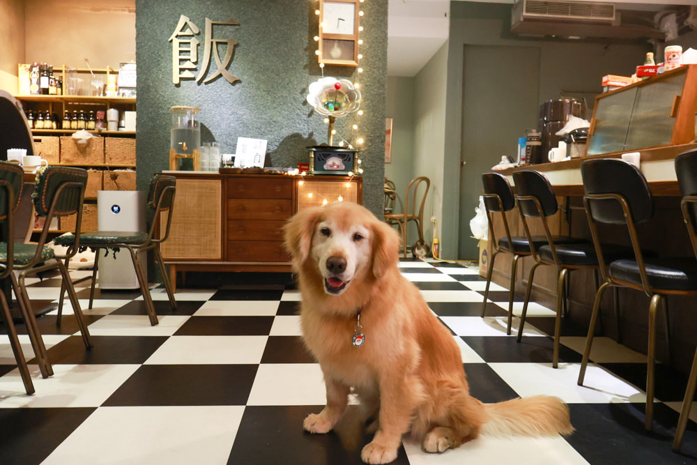 台北大安區美食｜TAKEOUT CURRY SHOP 咖哩專門店。寵物友善餐廳、日式香料黑咖哩、貓咪布丁