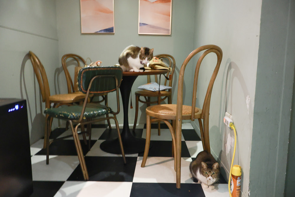 台北大安區美食｜TAKEOUT CURRY SHOP 咖哩專門店。寵物友善餐廳、日式香料黑咖哩、貓咪布丁