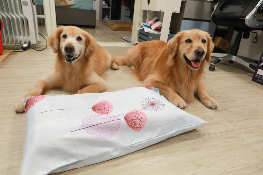 符合人體工學、睡得舒適一夜好眠,享受高品質舒適睡眠——LooCa超導石墨烯枕二代乳膠枕芯★momo獨家贈石墨烯枕套 - 第17張圖 符合人體工學、睡得舒適一夜好眠,享受高品質舒適睡眠——LooCa超導石墨烯枕二代乳膠枕芯★momo獨家贈石墨烯枕套