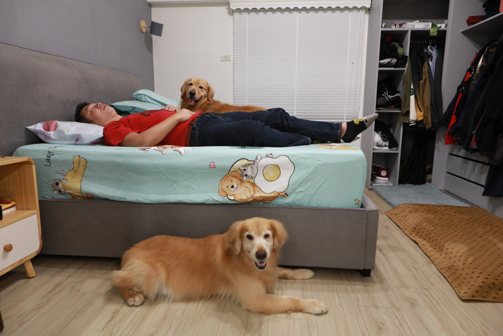 符合人體工學、睡得舒適一夜好眠,享受高品質舒適睡眠——LooCa超導石墨烯枕二代乳膠枕芯★momo獨家贈石墨烯枕套 - 第6張圖 符合人體工學、睡得舒適一夜好眠,享受高品質舒適睡眠——LooCa超導石墨烯枕二代乳膠枕芯★momo獨家贈石墨烯枕套