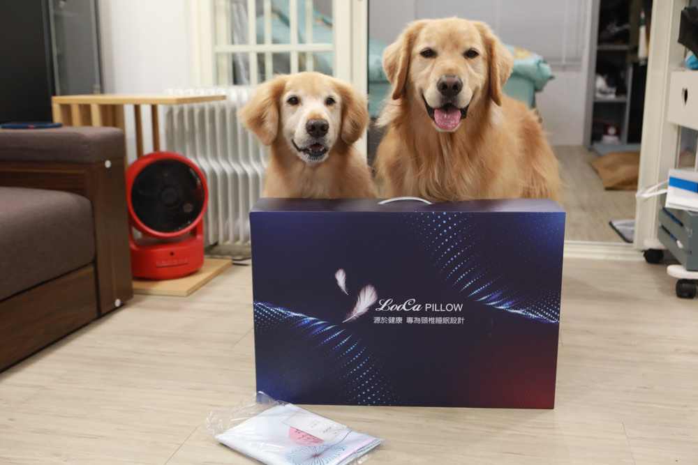 符合人體工學、睡得舒適一夜好眠,享受高品質舒適睡眠——LooCa超導石墨烯枕二代乳膠枕芯★momo獨家贈石墨烯枕套 - 第2張圖 符合人體工學、睡得舒適一夜好眠,享受高品質舒適睡眠——LooCa超導石墨烯枕二代乳膠枕芯★momo獨家贈石墨烯枕套