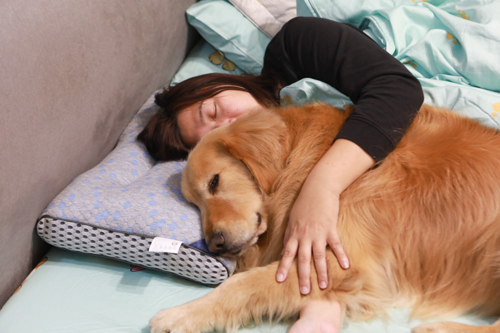 符合人體工學、睡得舒適一夜好眠,享受高品質舒適睡眠——LooCa超導石墨烯枕二代乳膠枕芯★momo獨家贈石墨烯枕套 - 第8張圖 符合人體工學、睡得舒適一夜好眠,享受高品質舒適睡眠——LooCa超導石墨烯枕二代乳膠枕芯★momo獨家贈石墨烯枕套