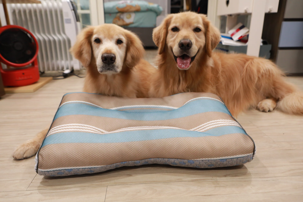 符合人體工學、睡得舒適一夜好眠,享受高品質舒適睡眠——LooCa超導石墨烯枕二代乳膠枕芯★momo獨家贈石墨烯枕套 - 第13張圖 符合人體工學、睡得舒適一夜好眠,享受高品質舒適睡眠——LooCa超導石墨烯枕二代乳膠枕芯★momo獨家贈石墨烯枕套