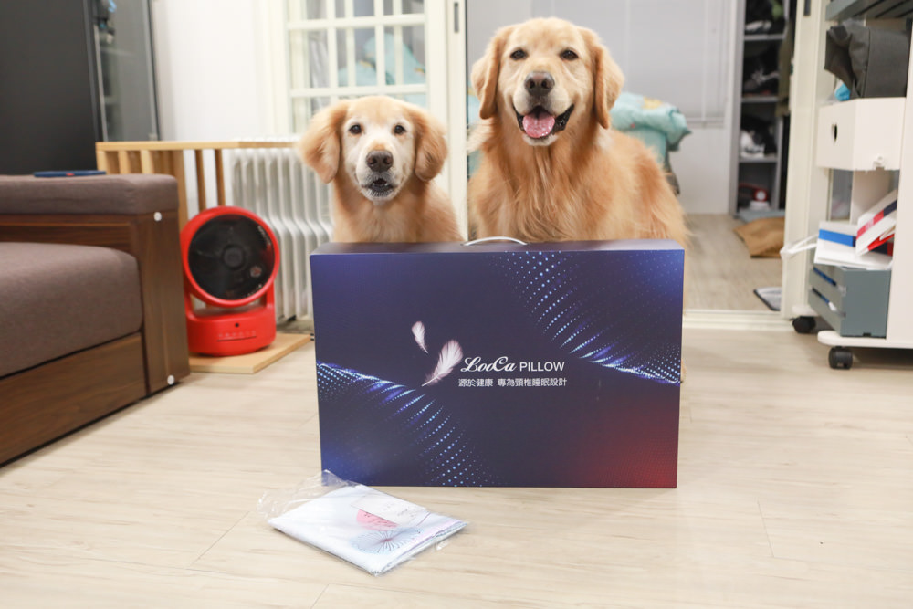 符合人體工學、睡得舒適一夜好眠,享受高品質舒適睡眠——LooCa超導石墨烯枕二代乳膠枕芯★momo獨家贈石墨烯枕套 - 第19張圖 符合人體工學、睡得舒適一夜好眠,享受高品質舒適睡眠——LooCa超導石墨烯枕二代乳膠枕芯★momo獨家贈石墨烯枕套