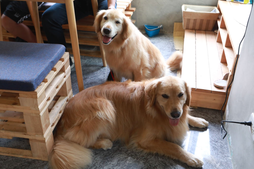 桃園美食|Reboot Cafe輕食早午餐、咖啡專賣店、不限時寵物友善咖啡、桃園質感咖啡廳 - 第8張圖 桃園美食|Reboot Cafe輕食早午餐、咖啡專賣店、不限時寵物友善咖啡、桃園質感咖啡廳