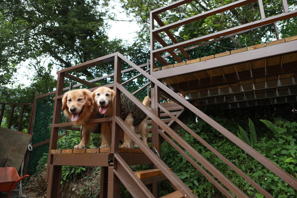 桃園復興景觀餐廳｜森鄰水岸景觀咖啡館。寵物友善餐廳、180度飽覽角板山、新溪口吊橋山嵐美景