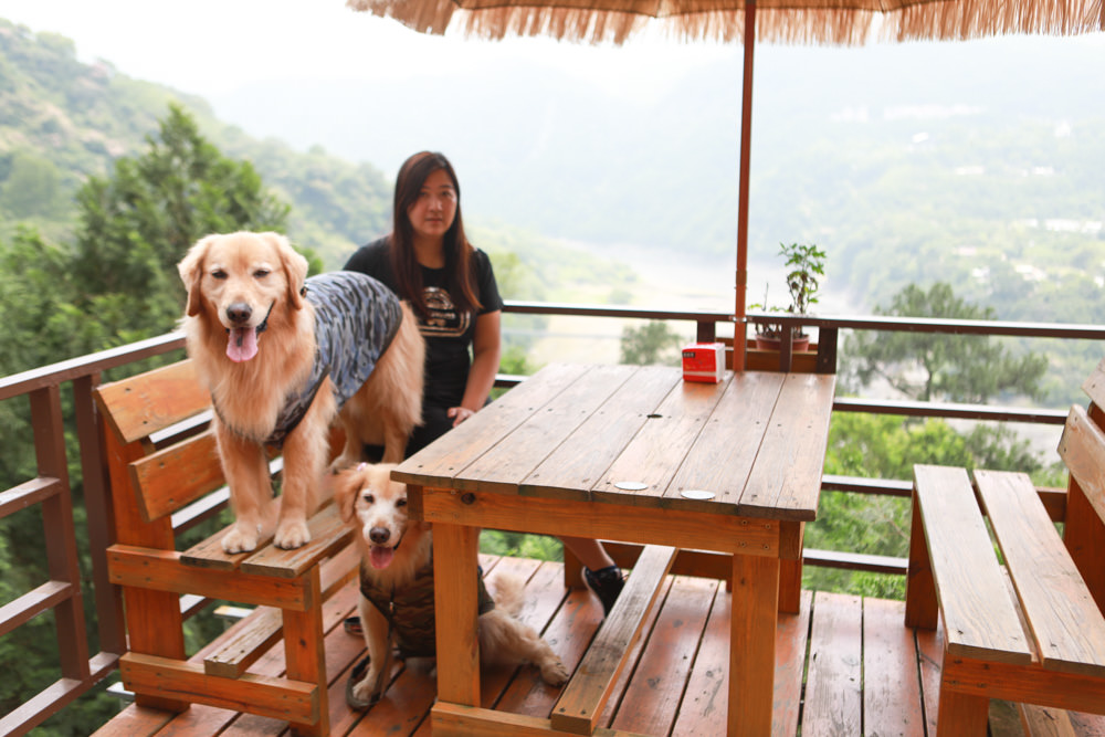 桃園復興景觀餐廳｜森鄰水岸景觀咖啡館。寵物友善餐廳、180度飽覽角板山、新溪口吊橋山嵐美景