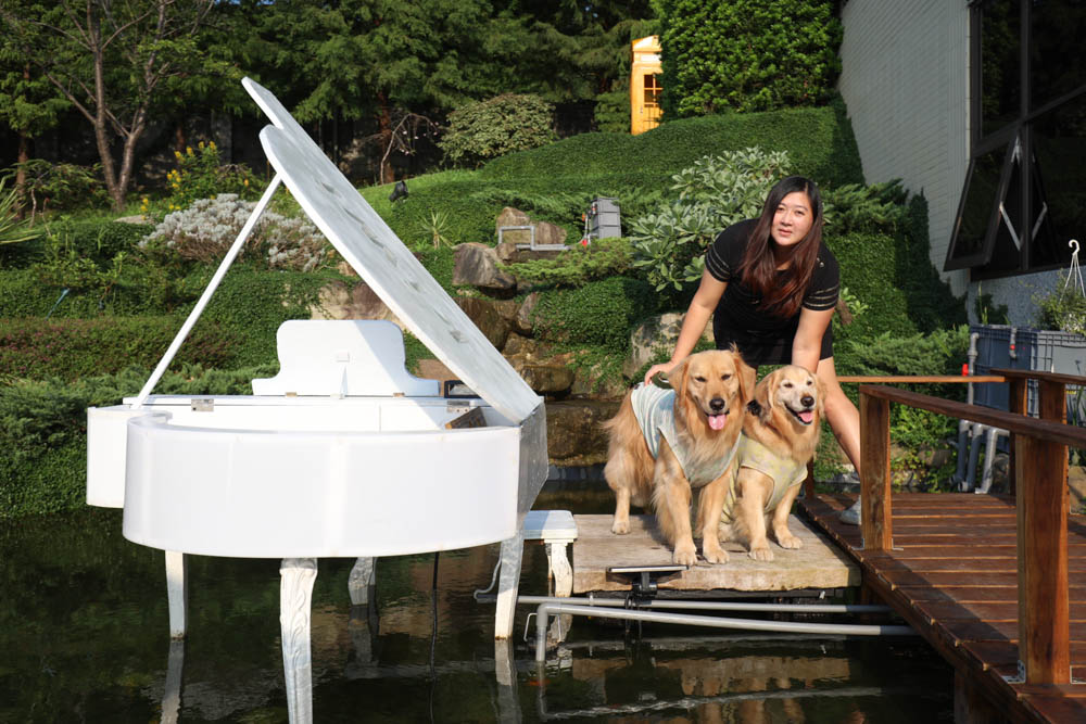 桃園復興鄉美食|山水奇異民宿景觀餐廳。超可愛的哈比村、英式電話亭、寵物友善餐廳 - 第14張圖 桃園復興鄉美食|山水奇異民宿景觀餐廳。超可愛的哈比村、英式電話亭、寵物友善餐廳