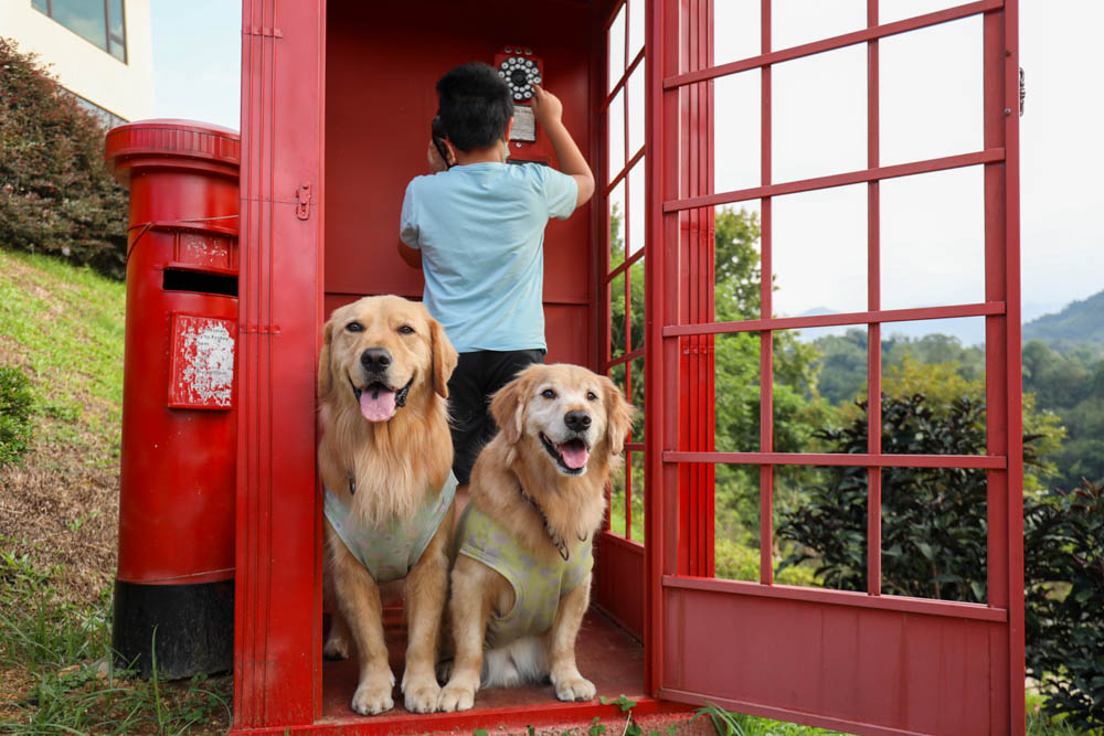 桃園復興鄉美食|山水奇異民宿景觀餐廳。超可愛的哈比村、英式電話亭、寵物友善餐廳 - 第16張圖 桃園復興鄉美食|山水奇異民宿景觀餐廳。超可愛的哈比村、英式電話亭、寵物友善餐廳
