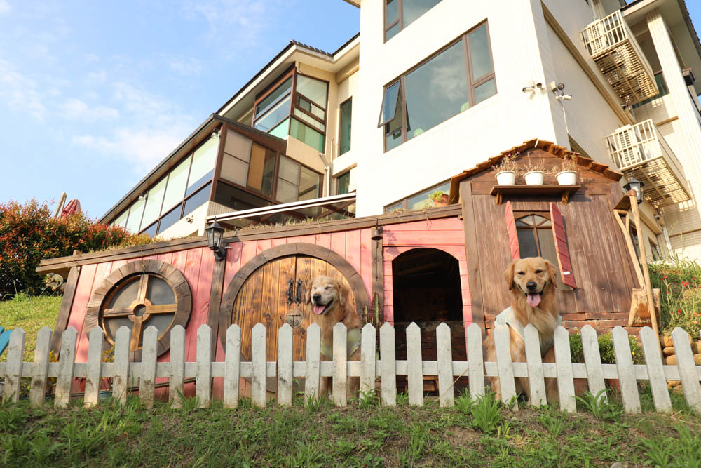 桃園復興鄉美食|山水奇異民宿景觀餐廳。超可愛的哈比村、英式電話亭、寵物友善餐廳 - 第23張圖 桃園復興鄉美食|山水奇異民宿景觀餐廳。超可愛的哈比村、英式電話亭、寵物友善餐廳
