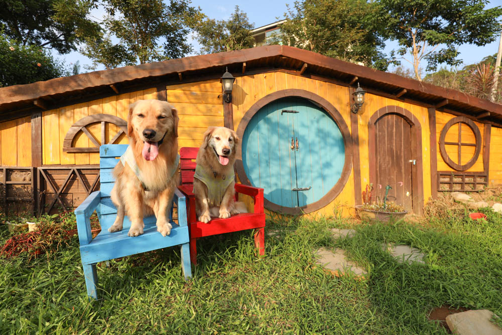桃園復興鄉美食|山水奇異民宿景觀餐廳。超可愛的哈比村、英式電話亭、寵物友善餐廳 - 第27張圖 桃園復興鄉美食|山水奇異民宿景觀餐廳。超可愛的哈比村、英式電話亭、寵物友善餐廳
