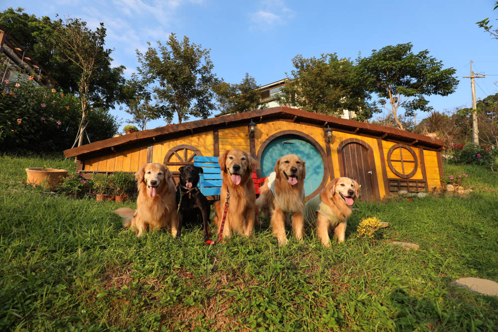 桃園復興鄉美食|山水奇異民宿景觀餐廳。超可愛的哈比村、英式電話亭、寵物友善餐廳 - 第32張圖 桃園復興鄉美食|山水奇異民宿景觀餐廳。超可愛的哈比村、英式電話亭、寵物友善餐廳